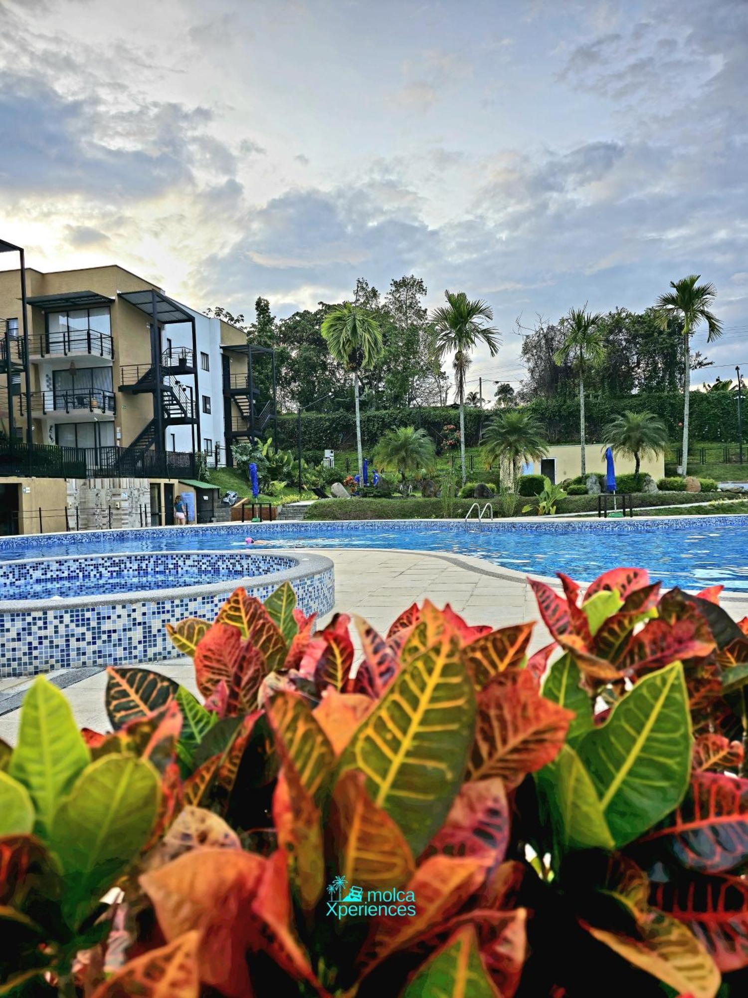 Apartamento Privado Vacacional A 5M Del Aeropuerto, 20 Minutos Del Parque Del Cafe Y Centro De Armenia Con 4 Piscinas, 3 Jacuzzi, Sauna By Molca Xperiences 3H Eksteriør billede