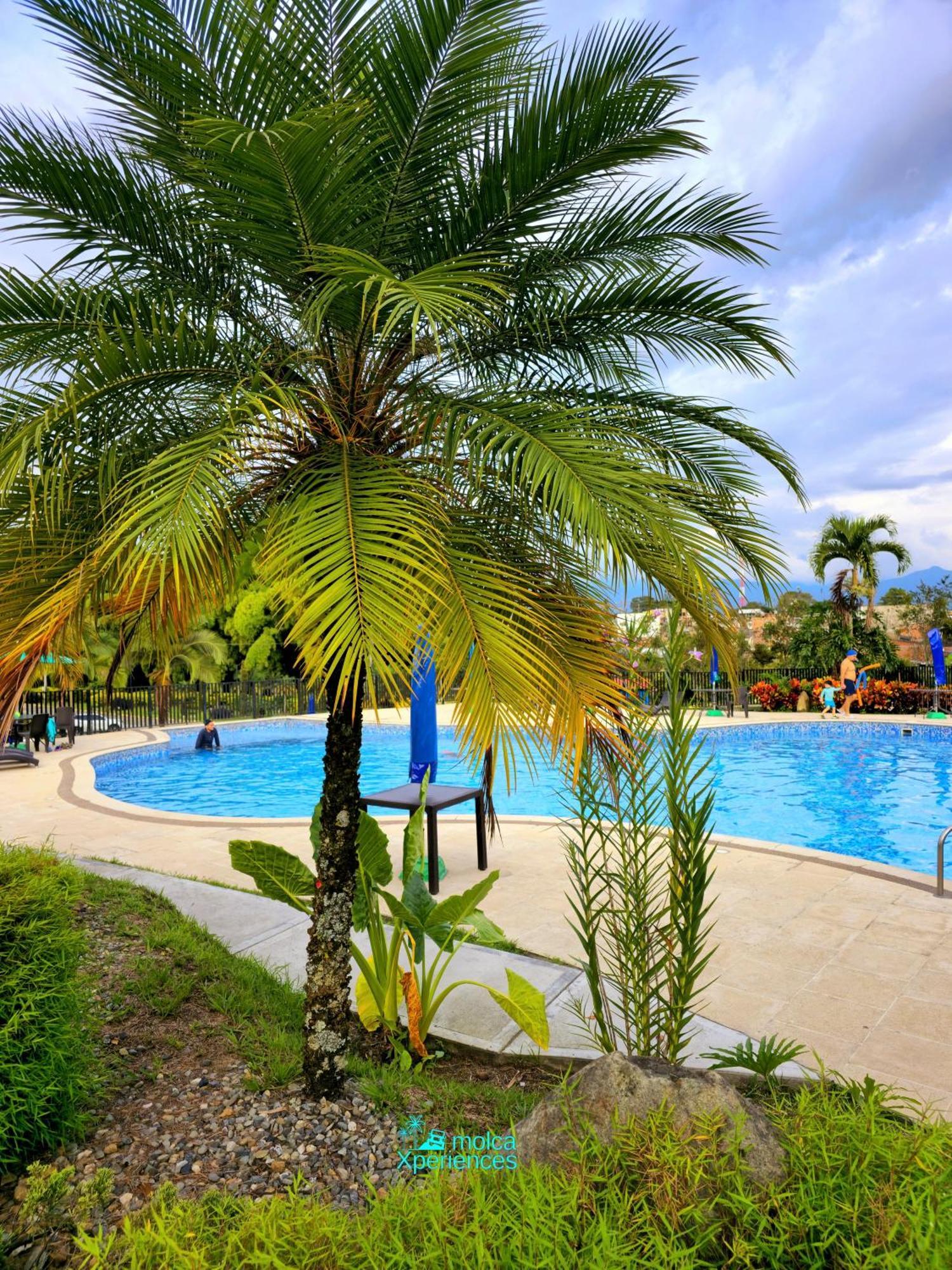 Apartamento Privado Vacacional A 5M Del Aeropuerto, 20 Minutos Del Parque Del Cafe Y Centro De Armenia Con 4 Piscinas, 3 Jacuzzi, Sauna By Molca Xperiences 3H Eksteriør billede
